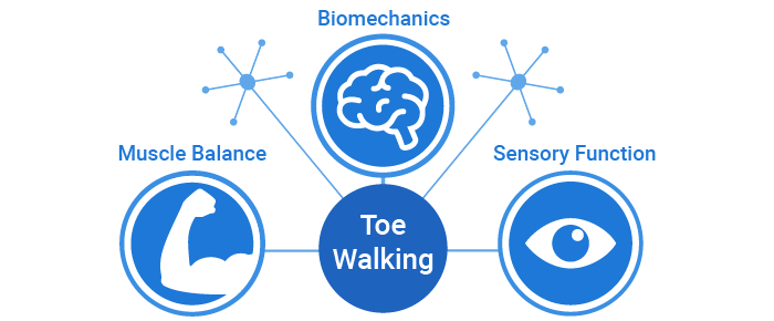 Toe Walking: Beyond Muscles And Bones!