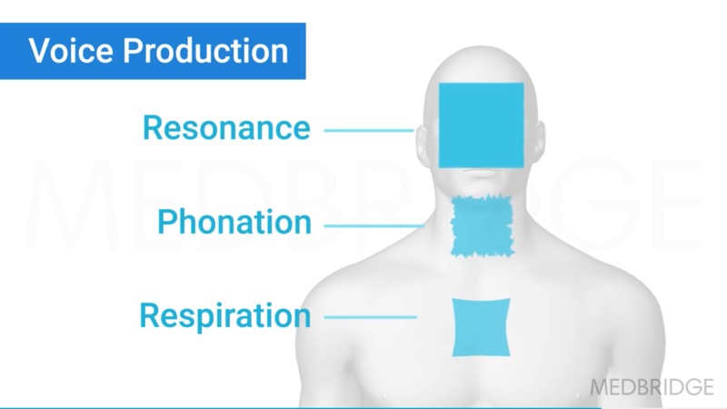 Resonant Voice Therapy: Generalizing the Balanced Voice | Medbridge