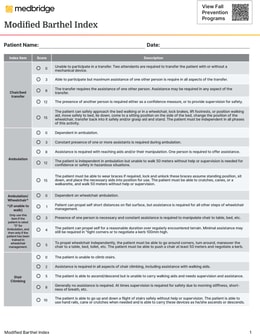 Modified Barthel Index PDF