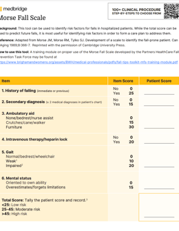 Morse Fall Scale PDF