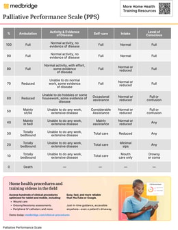 Palliative Performance Scale (PPS)