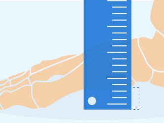 Foot bones illustration beside a blue ruler for height measurement on medbridge.
