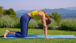 A person does the cat pose on a blue yoga mat in a garden with mountains in the background.