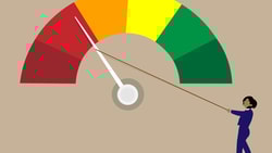 palliative performance scale