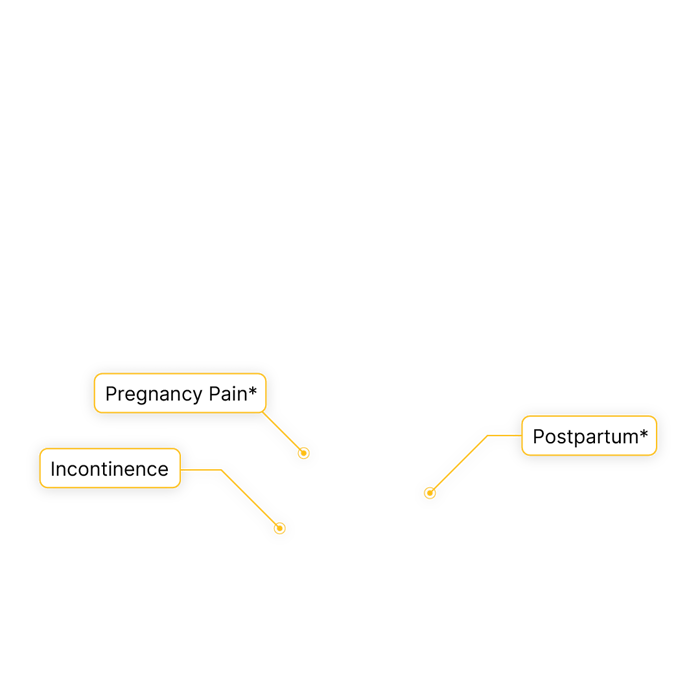 Diagram showing "Pregnancy Pain," "Incontinence," and "Postpartum" with asterisks.