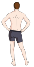 Illustration of a shirtless man in dark shorts from behind, symbolizing strength and healthcare training for medbridge.
