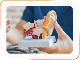 A hand holds a human ear model on a white stand, used for medbridge and digital healthcare education.