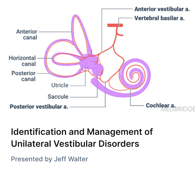 Inner ear diagram showing vestibular system parts and arteries; text below mentions medbridge software for vestibular care education.