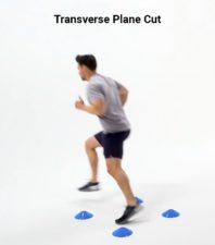 A man steps between blue cones in a transverse plane exercise for medbridge training.
