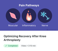 Diagram of three pain pathways—muscular, inflammatory, and nerve—linked to knee arthroplasty recovery and medbridge training.