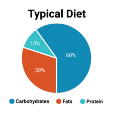 A pie chart shows Medbridge's patient care software utilization: blue 60%, red 30%, teal 10%.