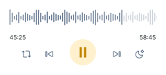 Audio player paused at 45:25 of 58:45 with controls and sound wave, from a medbridge healthcare training demo.