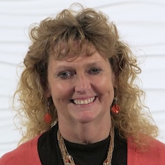 Wendy K. Anemaet, PT, DPT, PhD, GCS, CWS, GTC, COS-C