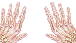 Illustration of skeletal hands from Medbridge on a white background.