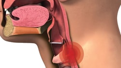 Diagram showing a red circle highlighting the voice box (larynx) in the throat.