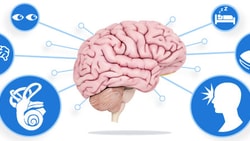 Illustration of a brain linked to icons of an eye, bed, brain, ear, and person's head; medbridge logo included.