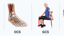 Various illustrations including a woman exercising, foot anatomy, elderly person with resistance band, and brain diagram for medbridge.