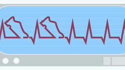 6th vital sign - walking speed