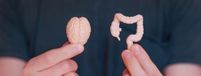 A person holds plastic models of a brain and digestive system against a dark background, symbolizing hybrid care in medbridge's educational approach.