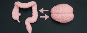 A human brain model and a colon model are connected by arrows on a dark surface, illustrating Medbridge.