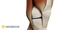An anatomical diagram of the human knee joint with bones, ligaments, muscles, and the medbridge logo.