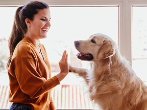 Woman and golden retriever high-five indoors near a window with plants and decor.