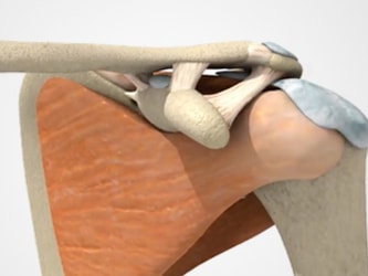 Illustration of the shoulder joint with exposed bones and muscles, featured in a medbridge module.