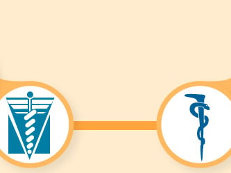 Illustration of sports equipment, medical symbols, and Medbridge logos.