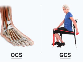 Various illustrations including a woman exercising, foot anatomy, elderly person with resistance band, and brain diagram for medbridge.