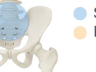 Medbridge illustration of a pelvis showing stability in blue and mobility in yellow.