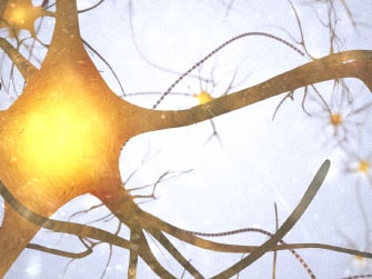 Neurons with illuminated connections on a light background for medbridge.