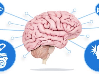 Illustration of a brain linked to icons of an eye, bed, brain, ear, and person's head; medbridge logo included.