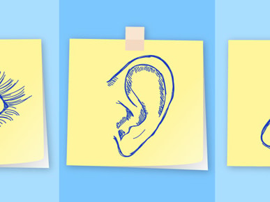 Illustration of an eye, ear, and nose on sticky notes taped to a blue surface.