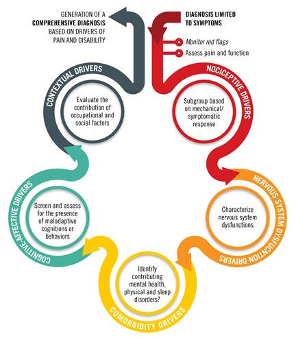 The flowchart shows factors contributing to pain and links them to healthcare education and diagnostic steps, as outlined in Medbridge training.