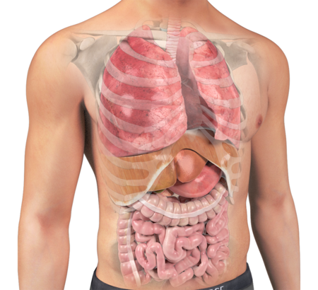 Differential Diagnosis & Medical Screening