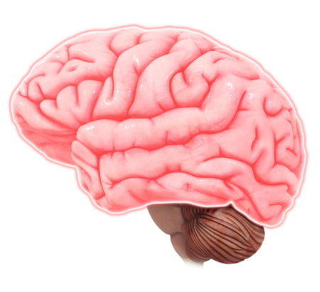 A Comprehensive Review of Brain Injury