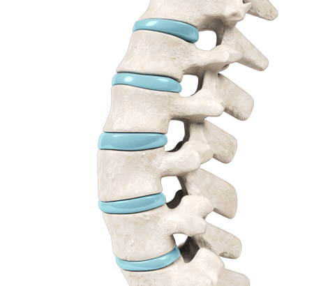 Orthopedic Excellence of the Spine (Certificate)