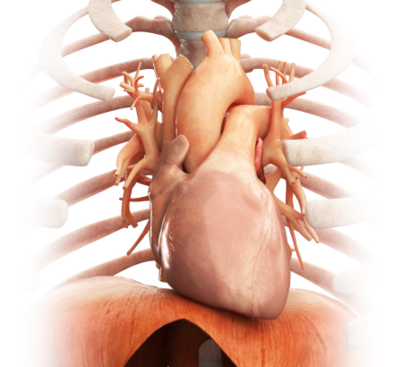 Heart Failure Management in the Home: Reducing Rehospitalizations 