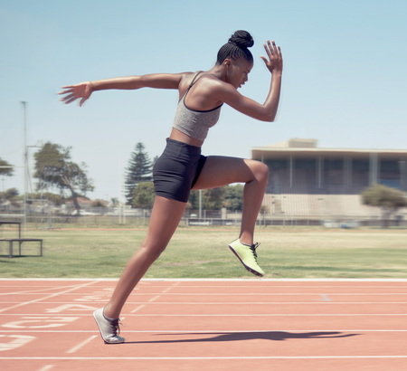 The Movement System: Foundations and Body Regions