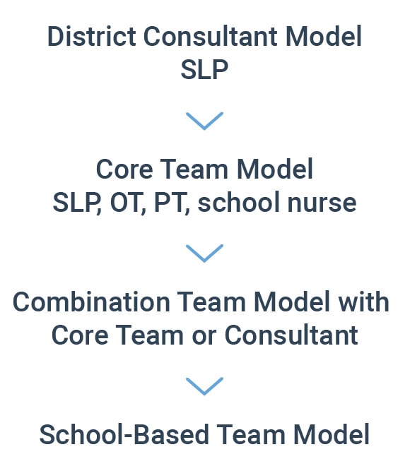 A flowchart illustrates various service models for enhancing healthcare education, including the district consultant model and school-based team model.