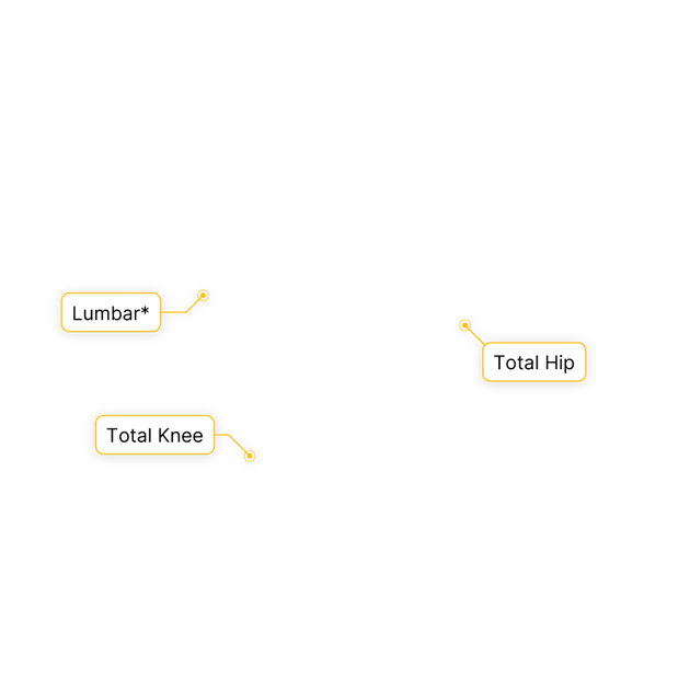 Icons labeled "Lumbar*", "Total Knee", and "Total Hip" are connected on a white background.