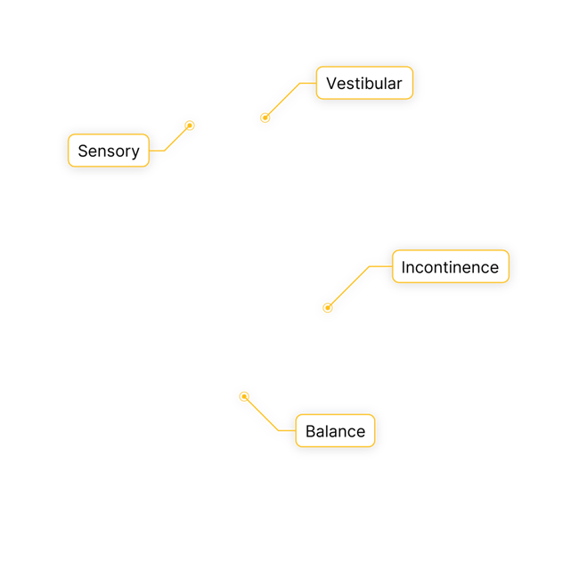 Flowchart with four labeled boxes—Sensory, Vestibular, Balance, and Incontinence—connected by lines, from medbridge.