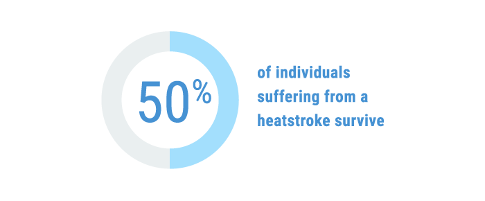 Pie chart shows 50% heatstroke survival rate, emphasizing need for medbridge education.