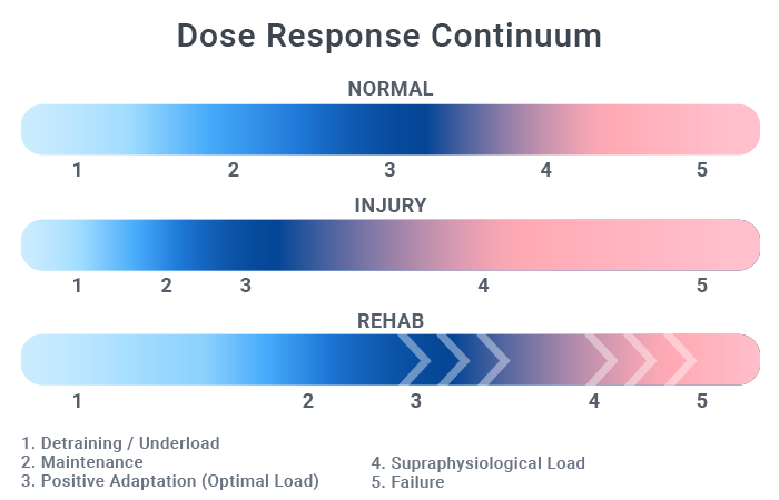 Diagram labeled "Dose Response Continuum" illustrating stages: Normal, Injury, and Rehab with a scale from Detraining to Failure.