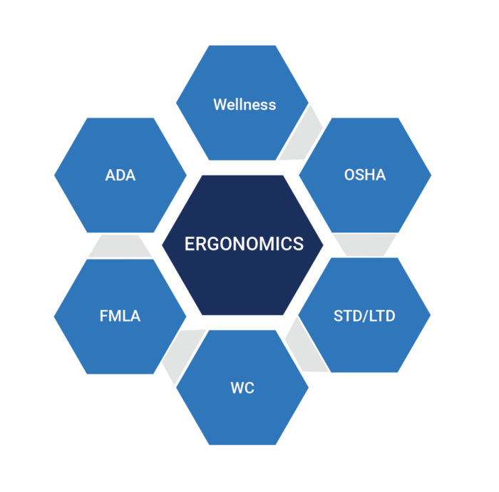 Hexagonal diagram centered on "Ergonomics" with surrounding terms illustrating healthcare elements like ADA, FMLA, WC, Wellness, OSHA, STD/LTD and their digital integration for well-being by medbridge.
