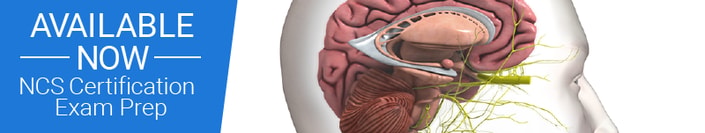 Illustration of a brain cross-section promoting medbridge's NCS Certification Exam Prep on a blue background.