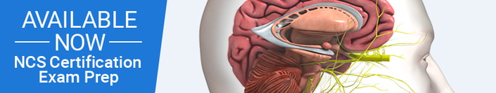 Illustration of a brain with highlighted areas and text: "Available Now NCS Certification Exam Prep by medbridge.