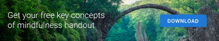 Scenic stone bridge in a forest with download button for 'free key concepts of mindfulness' handout from medbridge.