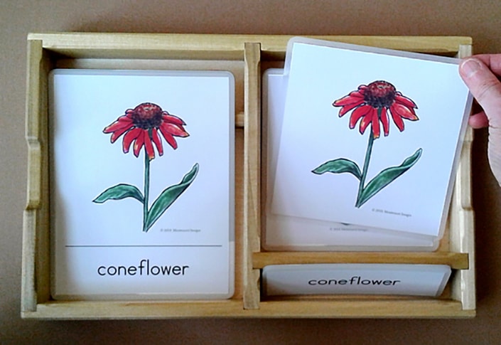 A hand places a "coneflower" card into a wooden box, akin to how Medbridge blends tradition with technology.