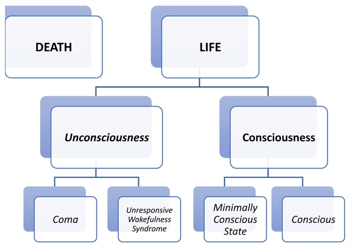 Flowchart showing various states of consciousness used in Medbridge healthcare training and software.